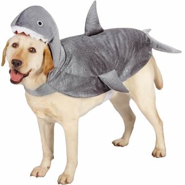 dog-halloween-costume-shark-today-16-09-13_4e1d186f915dfbb6ec92dcc34af388d6.today-inline-large