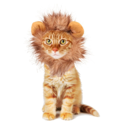 Lion-Halloween-Costume-for-Cats